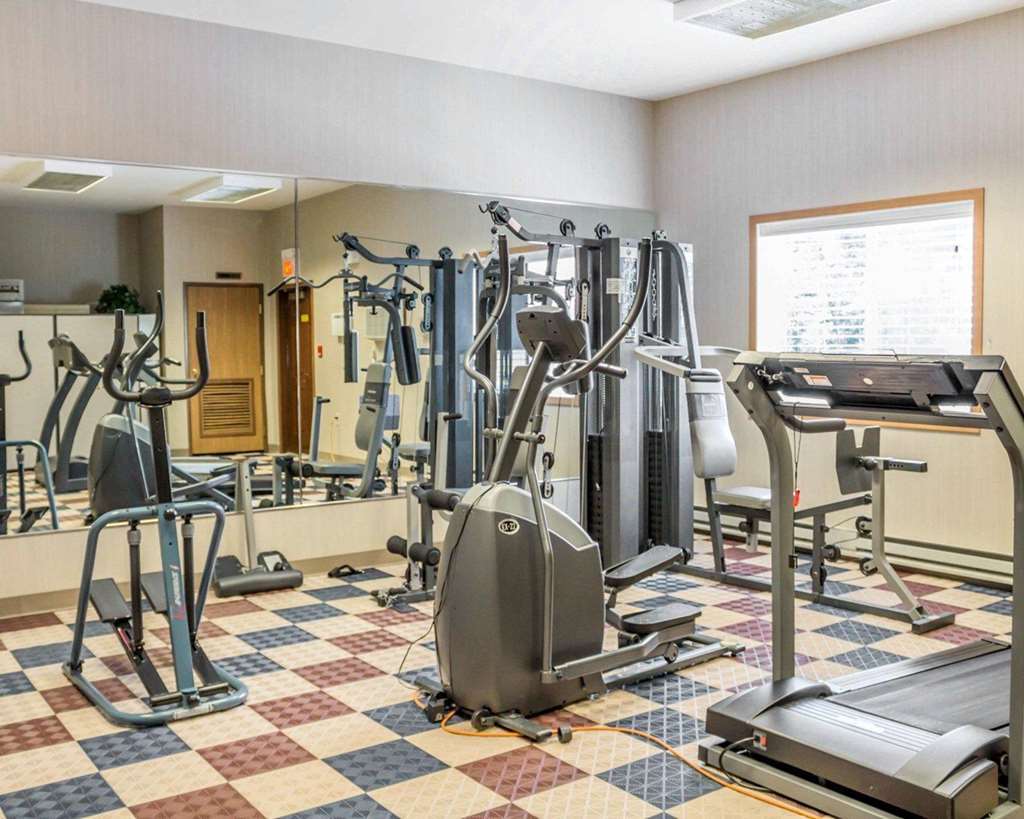 Comfort Inn Iron Mountain Facilities photo